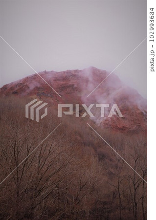 早春の北海道　有珠山と昭和新山をめぐる旅 102993684