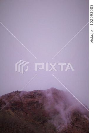 早春の北海道　有珠山と昭和新山をめぐる旅 102993685