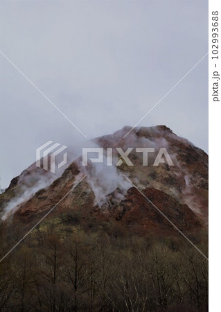 早春の北海道　有珠山と昭和新山をめぐる旅 102993688