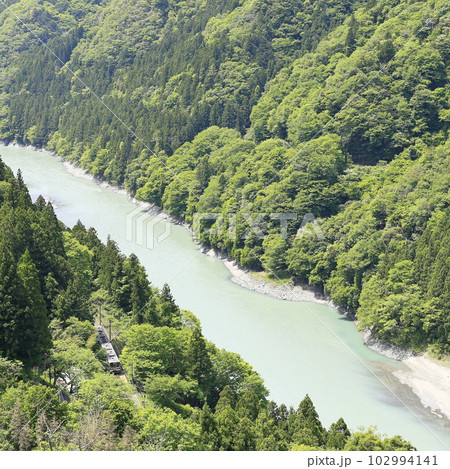 新緑の飯田線「中井侍駅」と天竜川 102994141