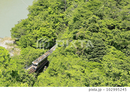 新緑の飯田線と天竜川 102995245