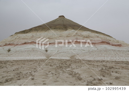 uzbekistan 102995439