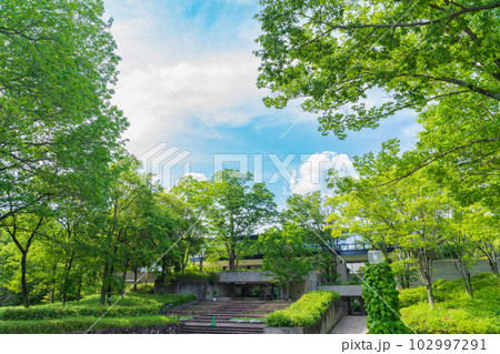 新緑の愛知県緑化センター〈愛知県豊田市〉 102997291