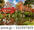 紅葉が見られる秋のもみじ公園 102997809