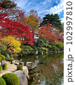 紅葉と池の鯉が見られる秋のもみじ公園 102997810