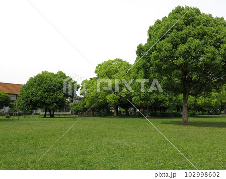 岩槻城址公園のピクニック広場 102998602