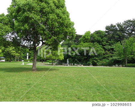 岩槻城址公園のピクニック広場と噴水 102998603