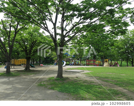 岩槻城址公園のわんぱく広場（遊具） 102998605