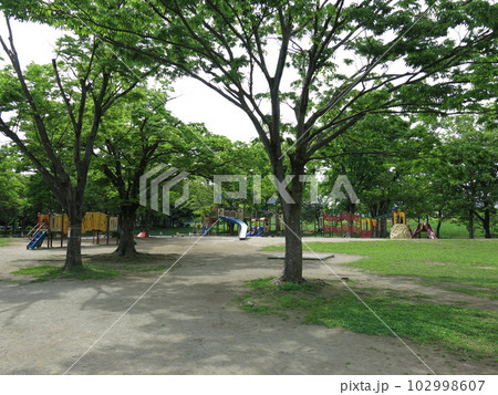 岩槻城址公園のわんぱく広場(遊具) 岩槻城址公園のわんぱく広場(遊具) 102998607