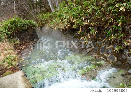 草津温泉　西の河原公園（群馬県） 102998805