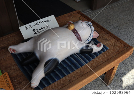 おかげ横丁の寝転ぶ猫 おかげ横丁の寝転ぶ猫 102998964