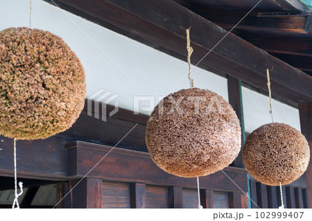 枯れた茶色の杉玉 枯れた茶色の杉玉 102999407