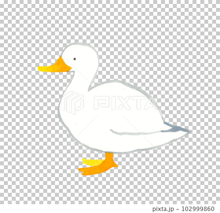 白いアヒル かわいい・ゆるい動物の手描き水彩イラスト素材 白いアヒル かわいい・ゆるい動物の手描き水彩イラスト素材 102999860