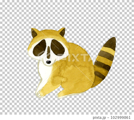 浣熊可愛鬆散的動物手繪水彩插畫素材 102999861