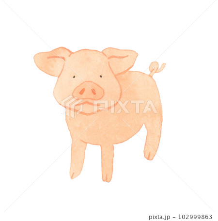 子豚（ミニブタ）　かわいい・ゆるい動物の手描き水彩イラスト素材 102999863