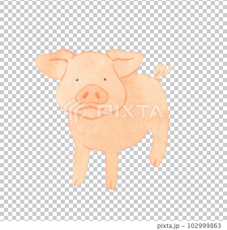 小豬（迷你豬）可愛鬆散動物手繪水彩插畫素材 102999863