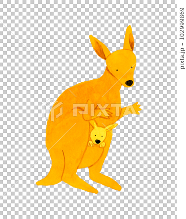 カンガルー　かわいい・ゆるい動物の手描き水彩イラスト素材 102999869