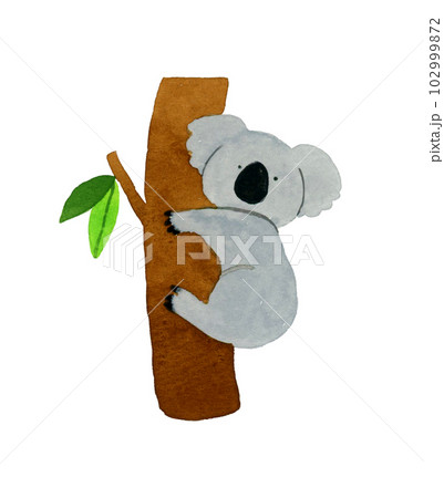 木につかまるコアラ　かわいい・ゆるい動物の手描き水彩イラスト素材 102999872