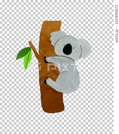 木につかまるコアラ　かわいい・ゆるい動物の手描き水彩イラスト素材 102999872