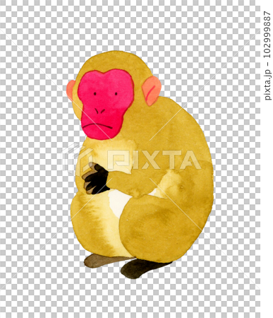 ニホンザル　かわいい・ゆるい動物の手描き水彩イラスト素材 102999887