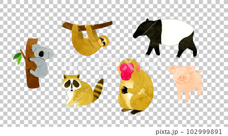 かわいい・ゆるい動物の手描き水彩イラスト素材集（コアラ、ナマケモノ、アライグマ、猿、豚、バク） 102999891