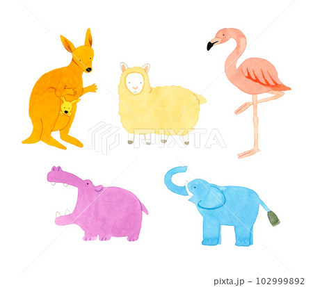 かわいい・ゆるい動物の手描き水彩イラスト素材集(カバ、象、羊、カンガルー、フラミンゴ) かわいい・ゆるい動物の手描き水彩イラスト素材集(カバ、象、羊、カンガルー、フラミンゴ) 102999892