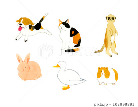 かわいい・ゆるい動物の手描き水彩イラスト素材集(犬、猫、うさぎ、アヒル、モルモット、ミーアキャット) かわいい・ゆるい動物の手描き水彩イラスト素材集(犬、猫、うさぎ、アヒル、モルモット、ミーアキャット) 102999893