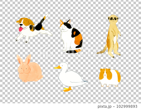 かわいい・ゆるい動物の手描き水彩イラスト素材集(犬、猫、うさぎ、アヒル、モルモット、ミーアキャット) かわいい・ゆるい動物の手描き水彩イラスト素材集(犬、猫、うさぎ、アヒル、モルモット、ミーアキャット) 102999893