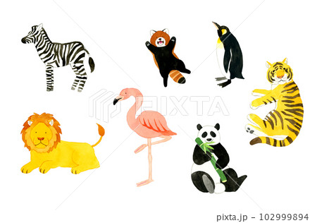 動物の手描き水彩イラスト素材集（シマウマ、ライオン、フラミンゴ、パンダ、虎、レッサーパンダ、ペンギン 102999894