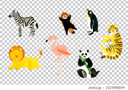 動物の手描き水彩イラスト素材集（シマウマ、ライオン、フラミンゴ、パンダ、虎、レッサーパンダ、ペンギン 102999894