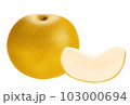 梨　ナシ　カットされた梨 103000694