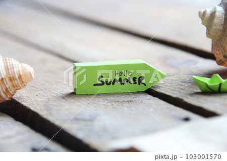 Hello summer creative concept. Hand lettering tag. Hello summer creative concept. Hand lettering tag. 103001570