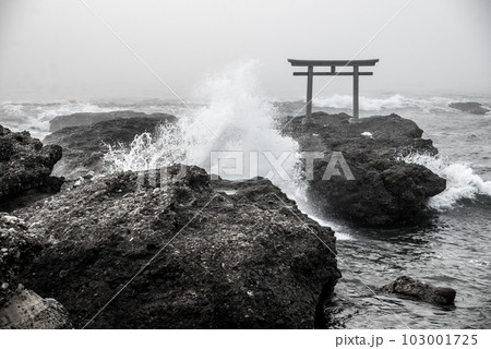 【茨城県】朝霧に霞む大洗磯前神社の海上鳥居 103001725