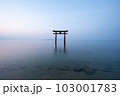 【滋賀県】琵琶湖　白髭神社の鳥居の朝　静寂 103001783