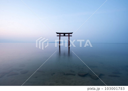 【滋賀県】琵琶湖 白髭神社の鳥居の朝 静寂 【滋賀県】琵琶湖 白髭神社の鳥居の朝 静寂 103001783