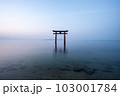 【滋賀県】琵琶湖　白髭神社の鳥居の朝　静寂 103001784