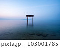 【滋賀県】琵琶湖　白髭神社の鳥居の朝　静寂 103001785