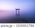 【滋賀県】琵琶湖　白髭神社の鳥居の朝　静寂 103001786