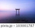 【滋賀県】琵琶湖　白髭神社の鳥居の朝　静寂 103001787