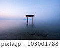 【滋賀県】琵琶湖　白髭神社の鳥居の朝　静寂 103001788