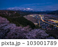 【新潟県】糸魚川市美山公園の夜桜 103001789