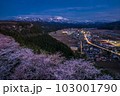 【新潟県】糸魚川市美山公園の夜桜 103001790