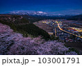 【新潟県】糸魚川市美山公園の夜桜 103001791