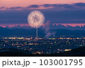 【新潟県】長岡花火　白菊 103001795