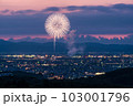 【新潟県】長岡花火　白菊 103001796