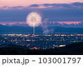 【新潟県】長岡花火　白菊 103001797