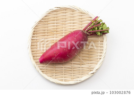 赤大根　白バック 103002876