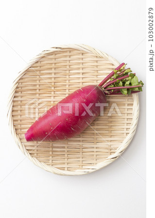 赤大根　白バック 103002879