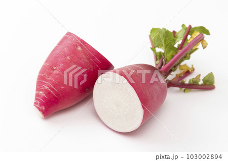 赤大根　白バック 103002894