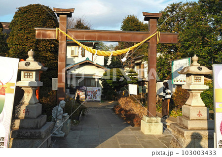 水宮神社【埼玉県富士見市】 103003433
